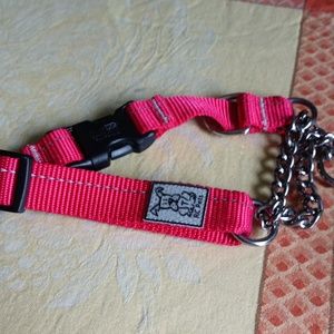 Dog collar
